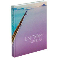 Entropy | Diane Tuft | Phaidon 2024